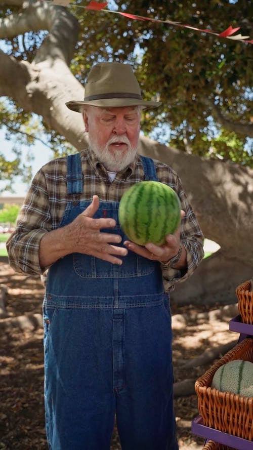 有关人, 出售, 垂直视频的免费素材视频