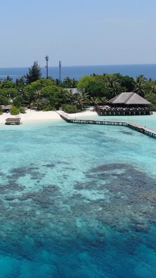 有关垂直视频, 天堂, 岸边的免费素材视频