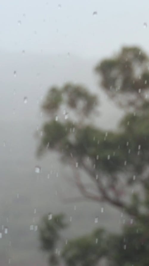 有关下雨, 下雨天, 垂直视频的免费素材视频