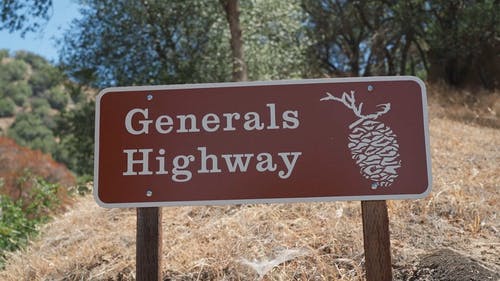 有关森林, 标志, 树木的免费素材视频