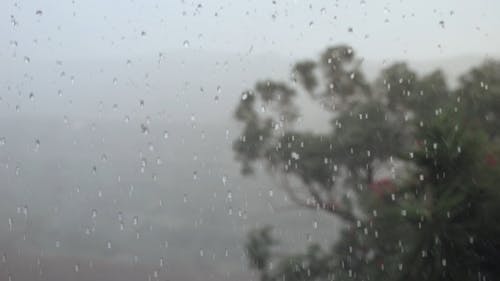 有关下雨, 下雨天, 天气的免费素材视频