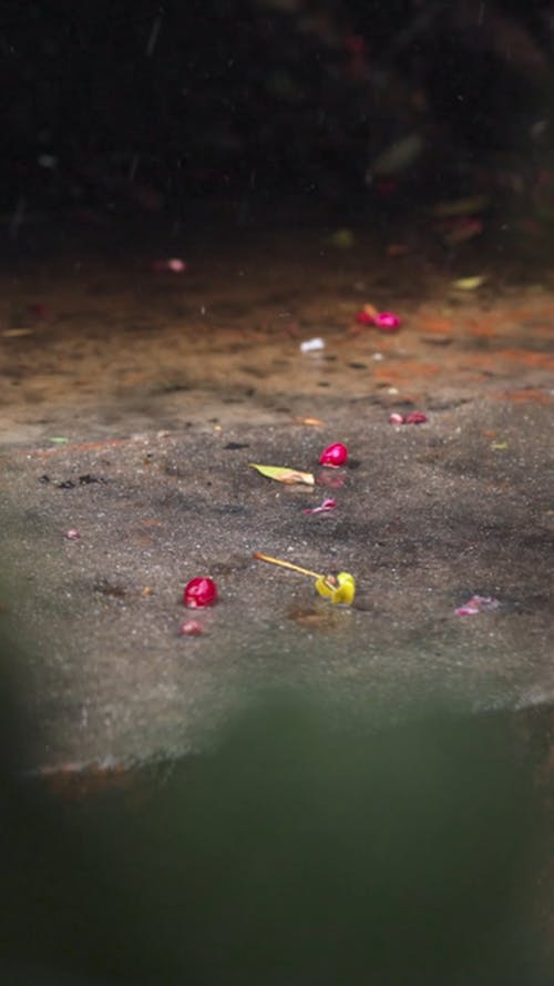 有关下雨, 垂直视频, 户外的免费素材视频