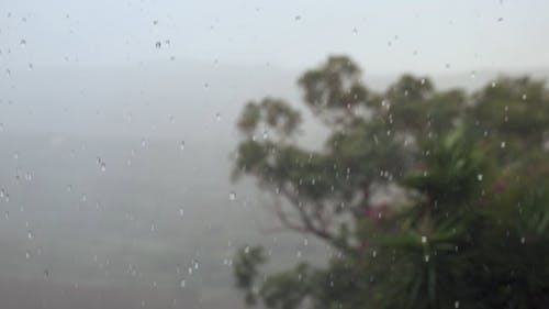 有关下雨, 下雨天, 失焦的免费素材视频