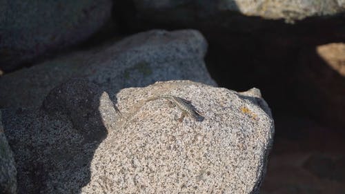 有关户外, 摇滚, 特写的免费素材视频