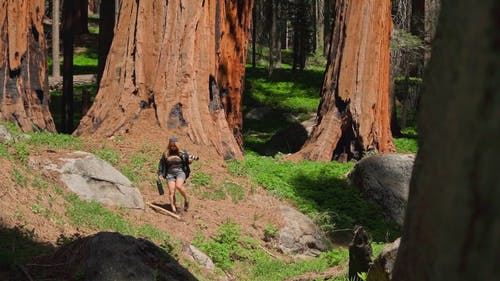 有关人, 国家公园, 天性的免费素材视频
