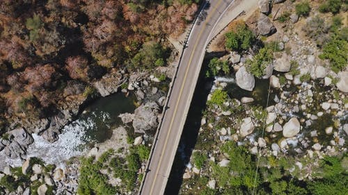 有关岩石, 树木, 桥的免费素材视频