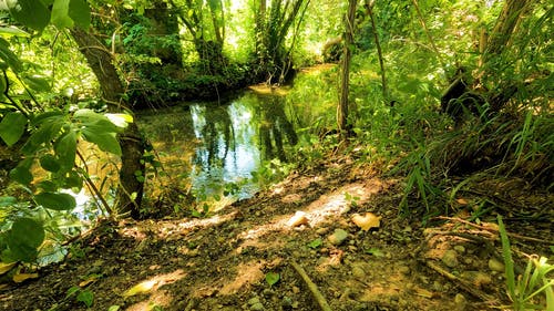 有关多风, 天性, 户外的免费素材视频