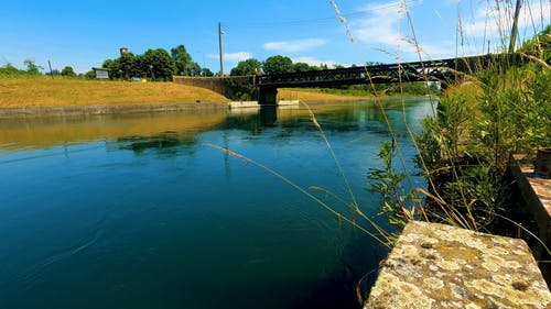 有关天性, 天空, 树木的免费素材视频