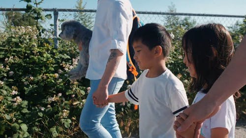 有关一起, 人行道, 孩子的免费素材视频