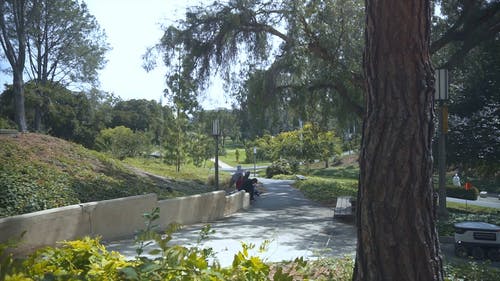 有关bot, 人工智慧, 公园的免费素材视频