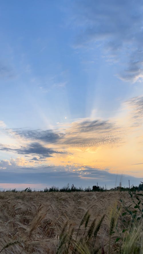 有关垂直视频, 天空, 户外的免费素材视频