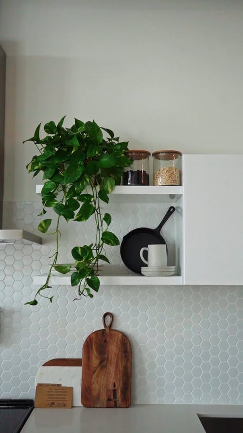 有关＃室内, 切菜板, 厨柜的免费素材视频