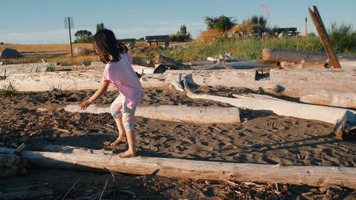 穿着粉红色衬衫的女孩在海滩上的原木上行走 · 免费素材视频