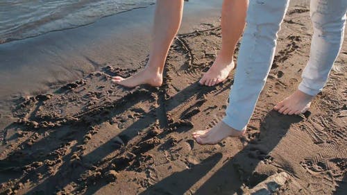 夫妇和他们的狗在海滩上散步 · 免费素材视频