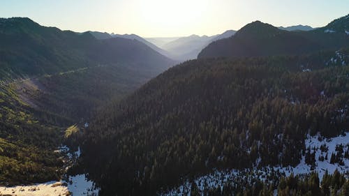 有关天性, 山, 树木的免费素材视频