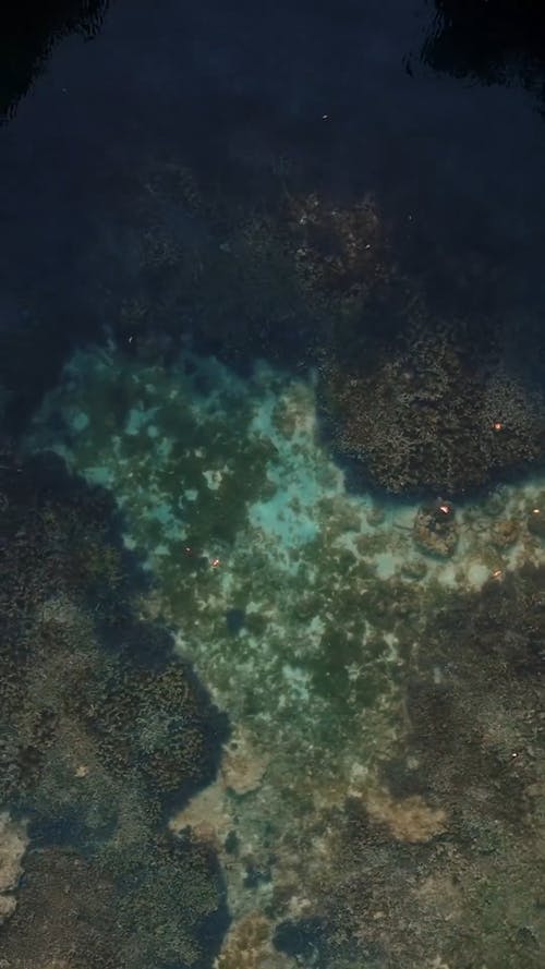 有关垂直视频, 小, 岛的免费素材视频