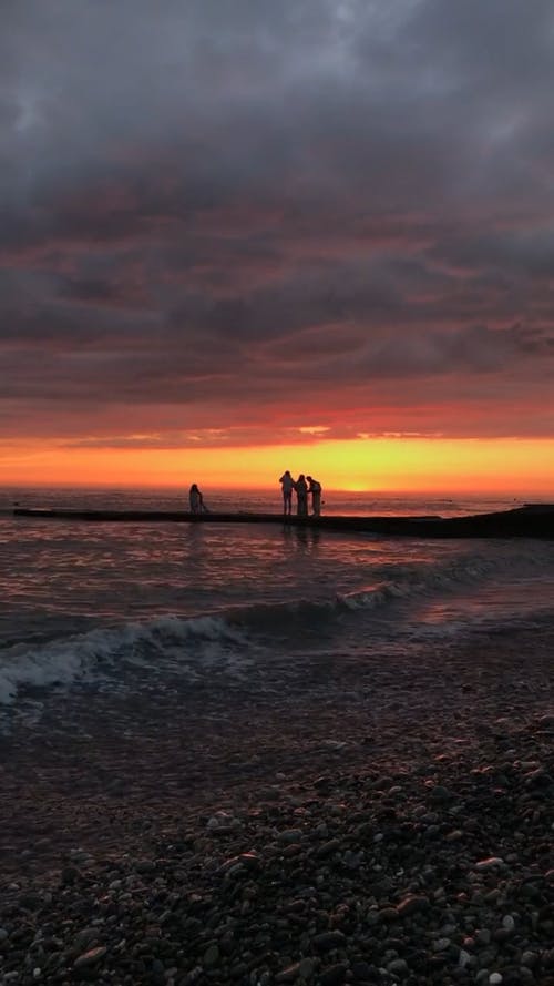 有关垂直视频, 天性, 天空的免费素材视频