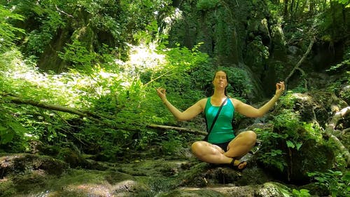 有关天性, 女人, 工厂的免费素材视频