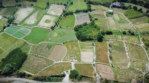 有关农业用地, 稻田, 空中镜头的免费素材视频