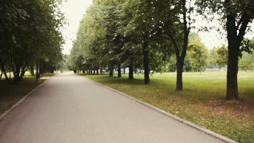 有关公园, 女人, 户外的免费素材视频