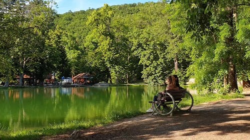 有关一对, 公园, 坐的免费素材视频