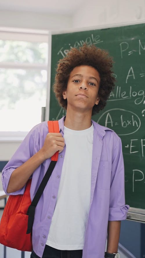 有关人, 垂直视频, 学校的免费素材视频