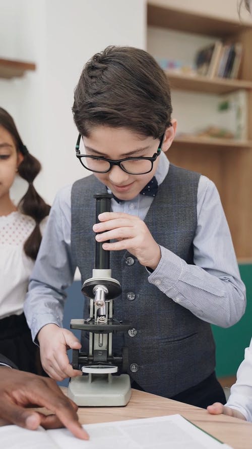 有关垂直视频, 学生们, 室内的免费素材视频