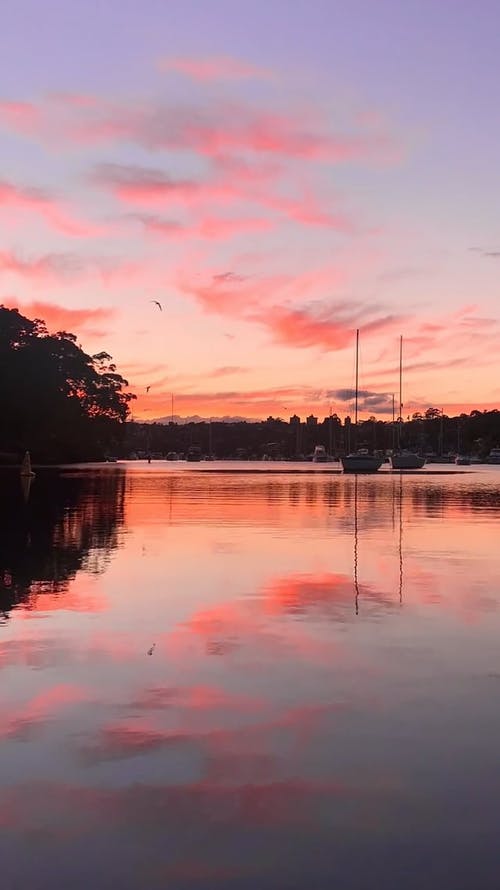 有关反射, 垂直视频, 戏剧化的免费素材视频