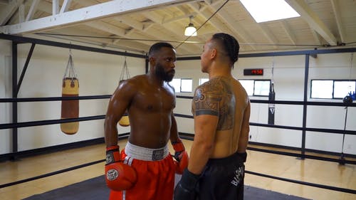 有关健身房, 战斗运动, 战士的免费素材视频