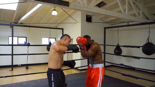 有关健身房, 冲压, 战斗运动的免费素材视频