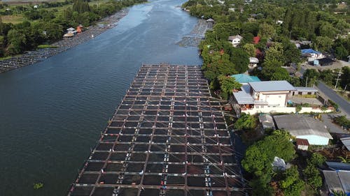 有关亚洲, 天性, 户外的免费素材视频
