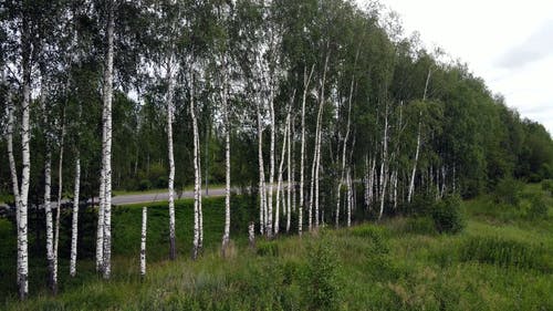 有关天性, 旅行, 景观的免费素材视频