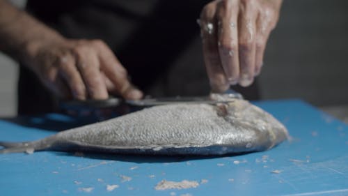 有关人, 切割, 切菜板的免费素材视频