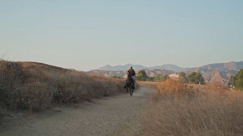 有关人, 牛仔, 开放领域的免费素材视频