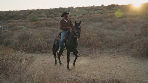 有关人, 牛仔, 农场的免费素材视频