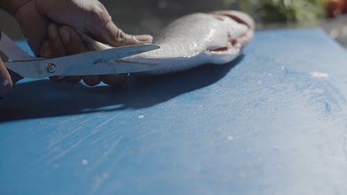 有关切割, 切菜板, 剪刀的免费素材视频