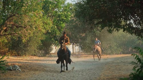 有关人, 女人, 女牛仔的免费素材视频