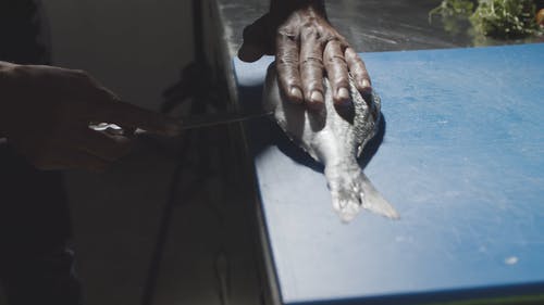 有关人, 刀, 切割的免费素材视频