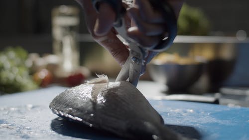 有关切菜板, 剪刀, 厨师的免费素材视频