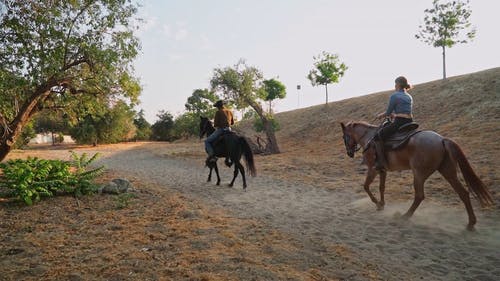 有关人, 动物, 女人的免费素材视频