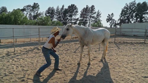 有关人, 户外, 牛仔的免费素材视频