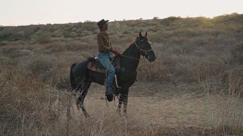 有关人, 草地, 马的免费素材视频