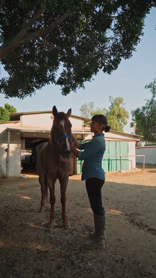 有关动物, 垂直视频, 女人的免费素材视频