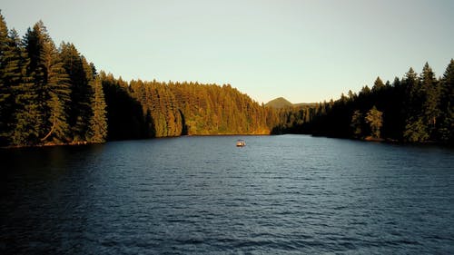 有关天性, 户外, 日光的免费素材视频