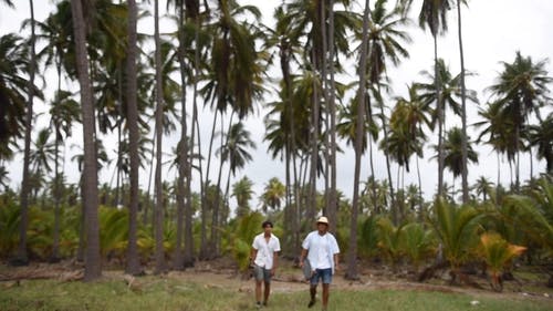 有关休闲装, 年轻人, 户外的免费素材视频
