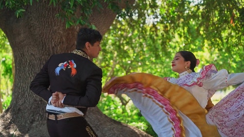 有关传统服装,墨西哥文化,树的免费素材视频