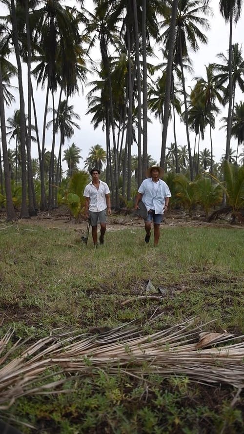 有关垂直视频, 年轻人, 户外的免费素材视频