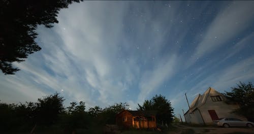 有关低角度拍摄, 天性, 天空的免费素材视频