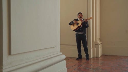 有关人, 吉他, 吉他手的免费素材视频
