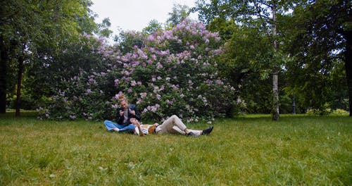 有关一对, 人, 公园的免费素材视频